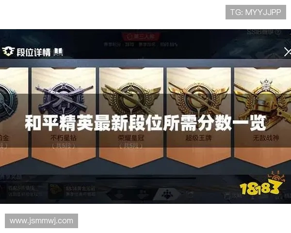 和平精英V5版本揭秘：团队配合与战术策略全解析